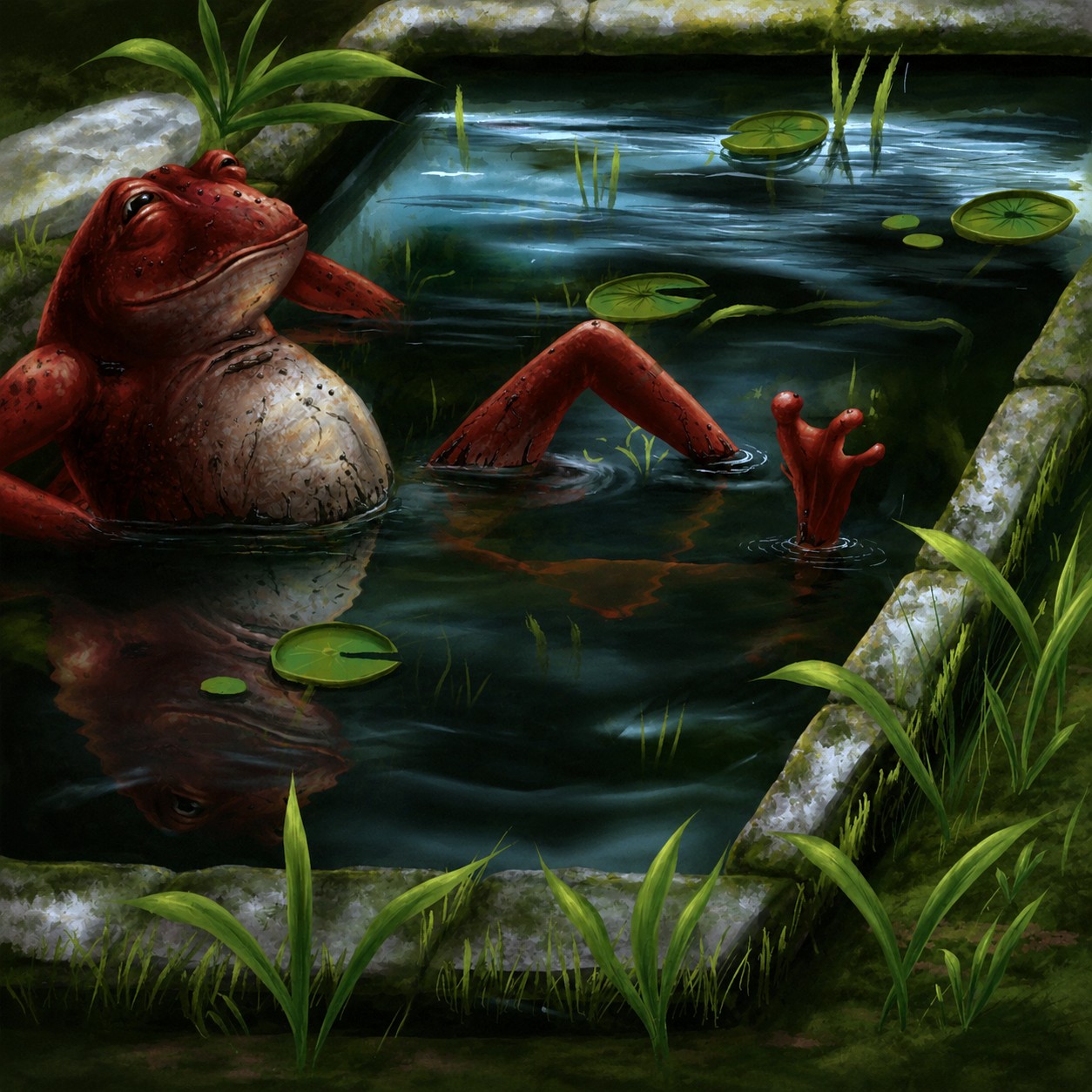 Red Frog Pool